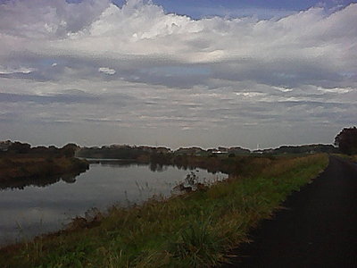2017111611733.jpg
